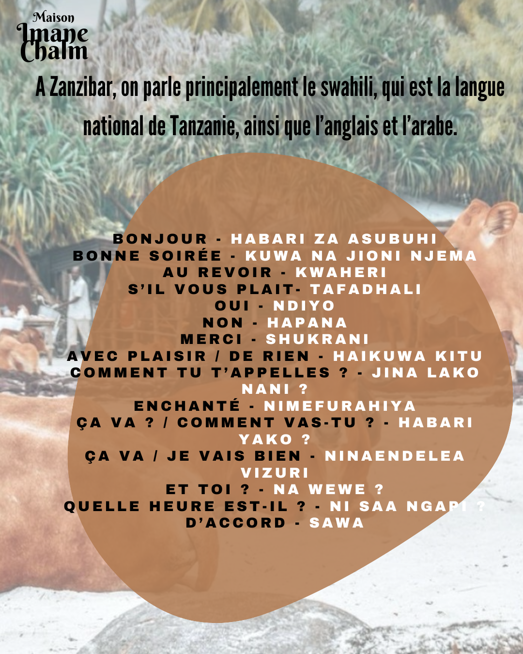 A La Découverte de Zanzibar